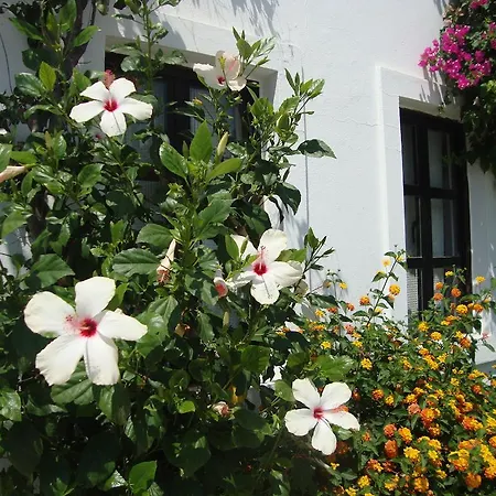Apartment Mimosa Gümbet
