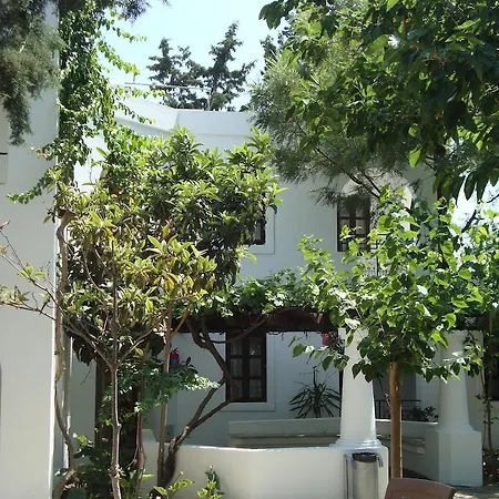 Mimosa Apartment Gümbet